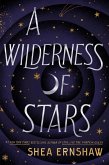 A Wilderness of Stars (eBook, ePUB)