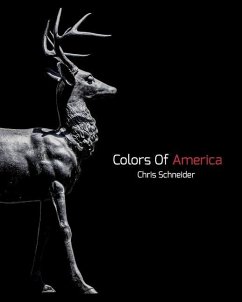 Colors Of America - Schneider, Chris