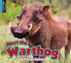 Meet the Warthog
