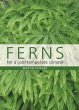 Ferns for a Cool Temperate Climate - Bild 1