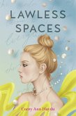Lawless Spaces (eBook, ePUB)
