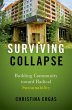 Surviving Collapse - Bild 1
