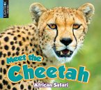 Meet the Cheetah