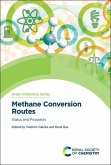 Methane Conversion Routes