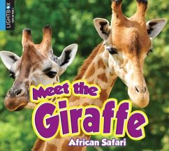 Meet the Giraffe - Gillespie, Katie