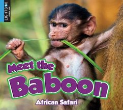 Meet the Baboon