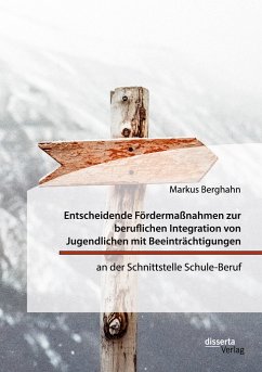 Entscheidende Fördermaßnahmen zur beruflichen Integration von Jugendlichen mit Beeinträchtigungen an der Schnittstelle Schule-Beruf - Berghahn, Markus