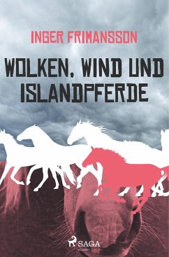 Wolken, Wind und Islandpferde - Frimansson, Inger