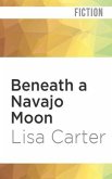 Beneath a Navajo Moon