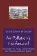 Air Pollution's the Answer! - Bild 1