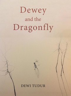 Dewey and the Dragonfly - Tudur, Dewi