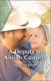 A Deputy in Amish Country (eBook, ePUB)