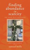 Finding Abundance in Scarcity (eBook, ePUB)