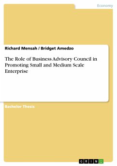 The Role of Business Advisory Council in Promoting Small and Medium Scale Enterprise (eBook, PDF) - Mensah, Richard; Amedzo, Bridget
