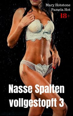 Cover Nasse Spalten vollgestopft 3 (eBook, ePUB)