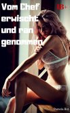 Vom Chef erwischt und rangenommen (eBook, ePUB)