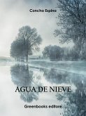 Agua de nieve (eBook, ePUB)