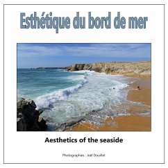 Esthétique du bord de mer (eBook, ePUB) - Douillet, Joel