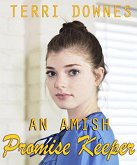 An Amish Promise Keeper (eBook, ePUB)