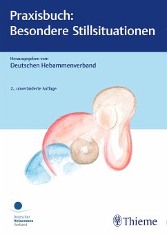 Praxisbuch: Besondere Stillsituationen (eBook, PDF)