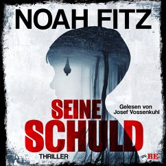 Seine Schuld (MP3-Download) - Fitz, Noah