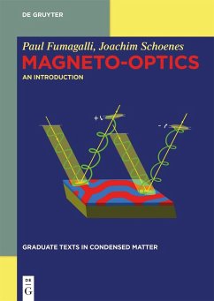 Magneto-optics - Fumagalli, Paul;Schoenes, Joachim