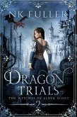 Dragon Trials (The Witches of Elder Wood, #2) (eBook, ePUB)