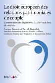 Le droit européen des relations patrimoniales de couple (eBook, ePUB)
