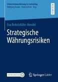 Strategische Währungsrisiken (eBook, PDF)