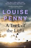 A Trick of the Light (eBook, ePUB)