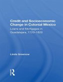 Credit And Socioeconomic Change In Colonial Mexico (eBook, ePUB)