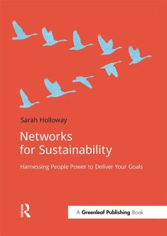 Networks for Sustainability (eBook, ePUB) - Holloway, Sarah