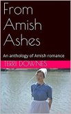 From Amish Ashes An Anthology of Amish Romance (eBook, ePUB)