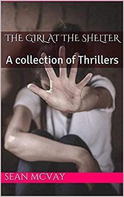 Cover The Girl At The Shelter A Collection Of Thrillers (eBook, ePUB)