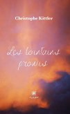 Les lointains promis (eBook, ePUB)