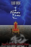 I Never Knew You (eBook, ePUB)