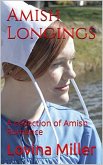 Amish Longings (eBook, ePUB)