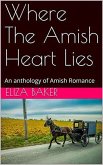 Where The Amish Heart Lies (eBook, ePUB)