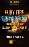 Fury Fire Fury Thunder That Gives Instant Solution To Challenges Of Life (eBook, ePUB)