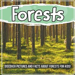 Forests: Discover Pictures and Facts About Forests For Kids! - Kids, Bold