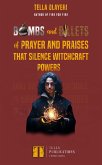 Bombs and Bullets of Prayer and Praises That Silence Witchcraft Powers (eBook, ePUB)