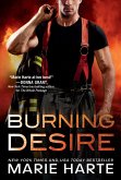 Burning Desire (eBook, ePUB)