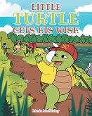 Little Turtle Gets His Wish