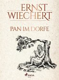 Pan im Dorfe (eBook, ePUB)