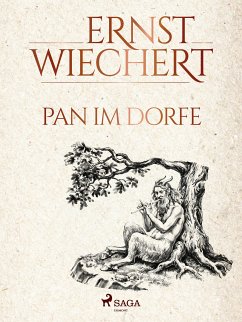 Pan im Dorfe (eBook, ePUB) - Wiechert, Ernst
