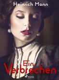 Ein Verbrechen (eBook, ePUB)