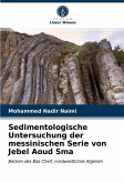 Sedimentologische Untersuchung der messinischen Serie von Jebel Aoud Sma