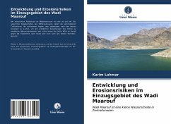 Entwicklung und Erosionsrisiken im Einzugsgebiet des Wadi Maarouf - Lahmar, Karim