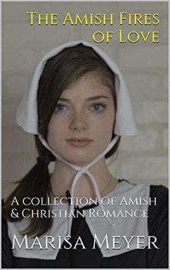 Cover The Amish Fires of Love (eBook, ePUB)