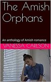 The Amish Orphans (eBook, ePUB)